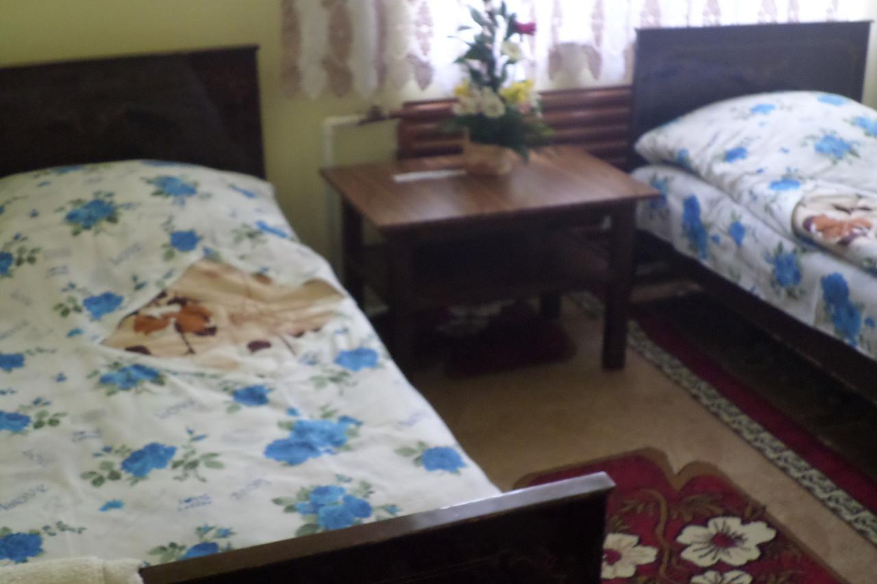Spandaryan House Yeghegnadzor エクステリア 写真